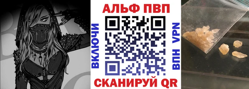 A PVP СК  Обь 