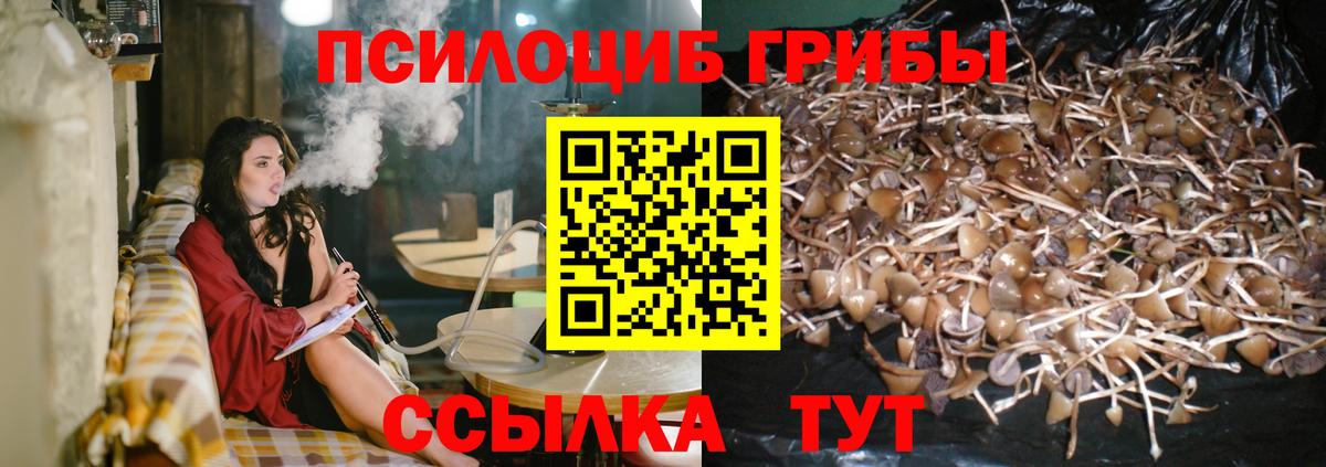 Галлюциногенные грибы мицелий  Псилоцибиновые грибы мицелий  Вход с VPN  Обь 